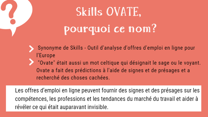 skills OVATE 