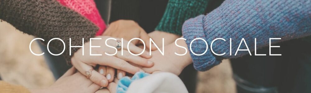 cohésion sociale cohésion sociale